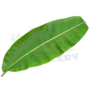 Banana Leaf