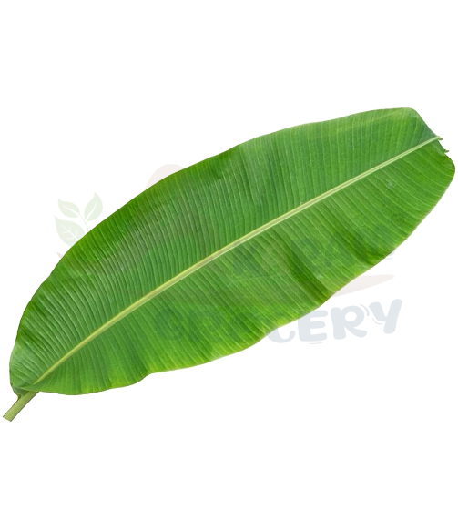 Banana Leaf