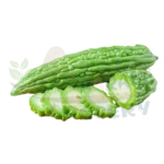Bitter Gourd