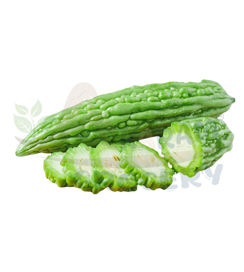 Bitter Gourd