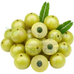 Gooseberry