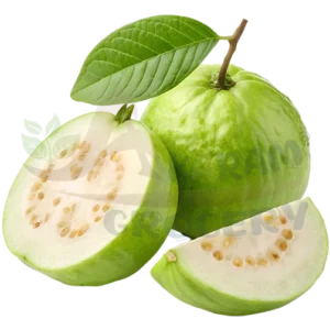 Guava