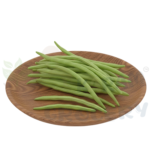 Long Beans 500