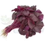 Red Spinach