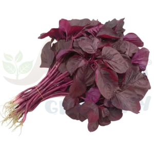 Red Spinach