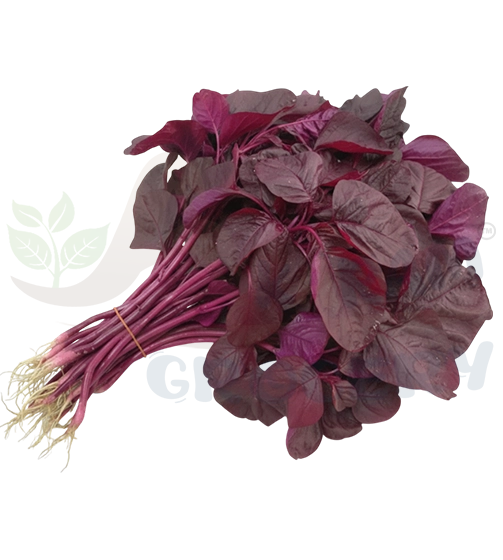 Red Spinach