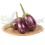 Small Brinjal