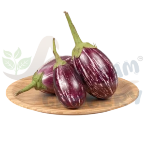 Small Brinjal